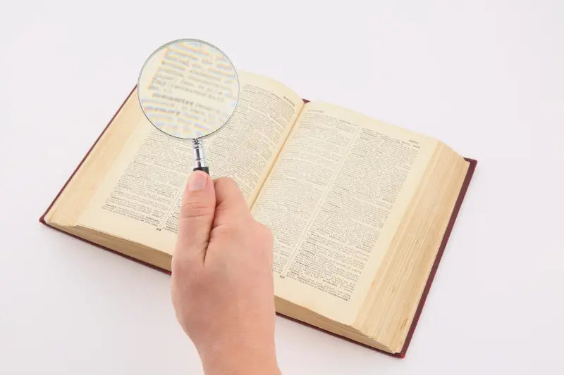 chú ý đến ngữ pháp và chính tả