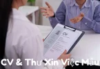 cv & thư xin việc mẫu