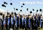 học bổng & thực tập