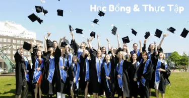 học bổng & thực tập